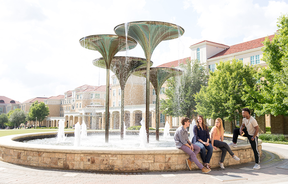 Frog Fountain