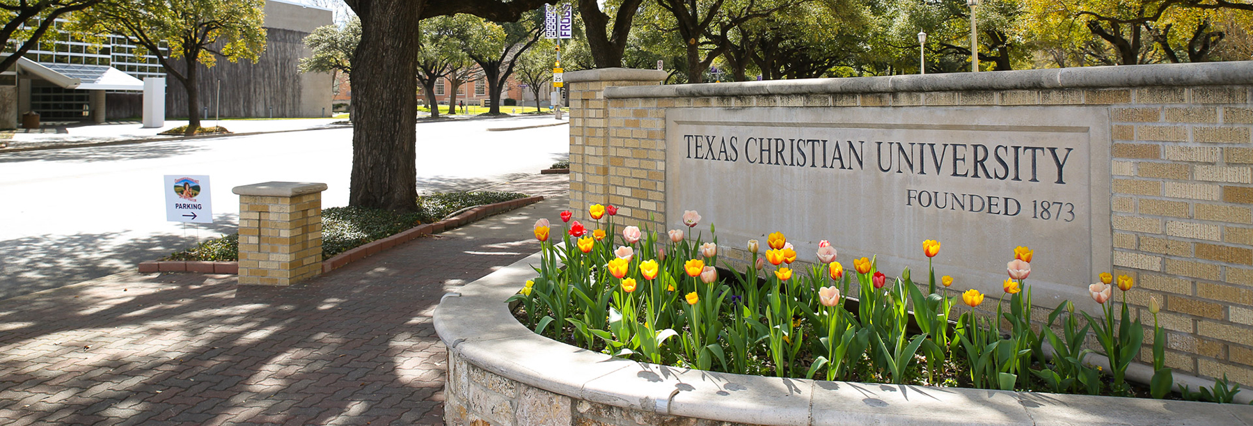 Section Image: TCU 
