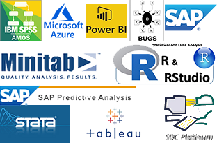 Statistical Software