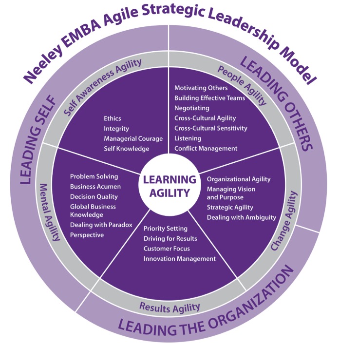 Strategic Leadership Model