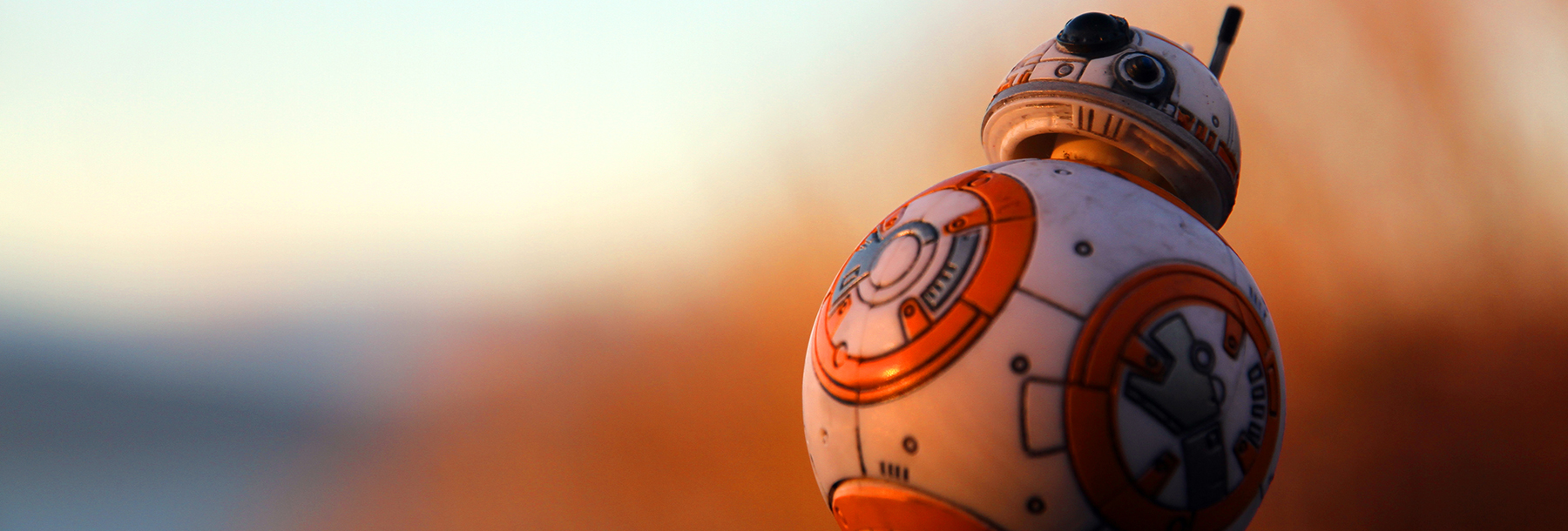 Section Image: BB8 