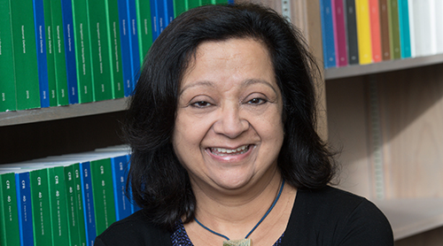 Section Image: Minakshi Trivedi Named Wilson Professor of Marketing 