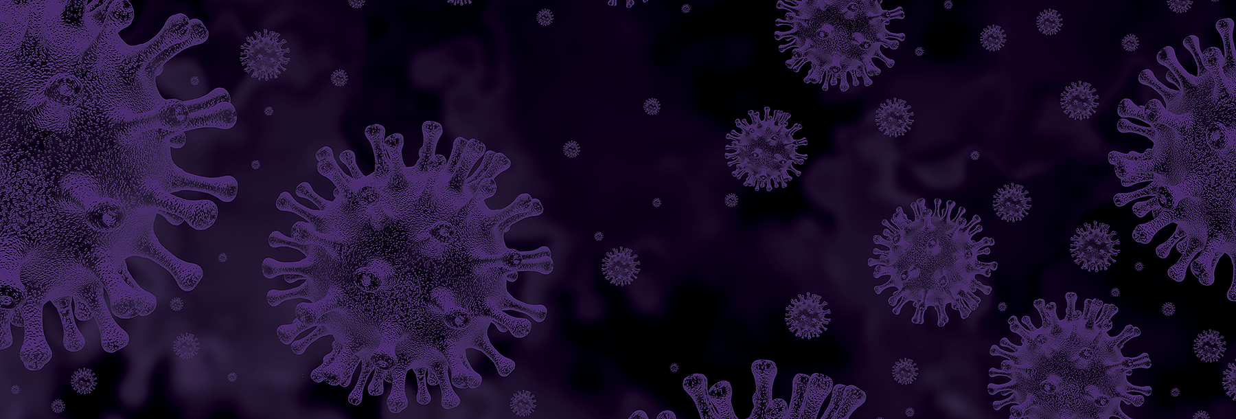 Section Image: COVID virus 