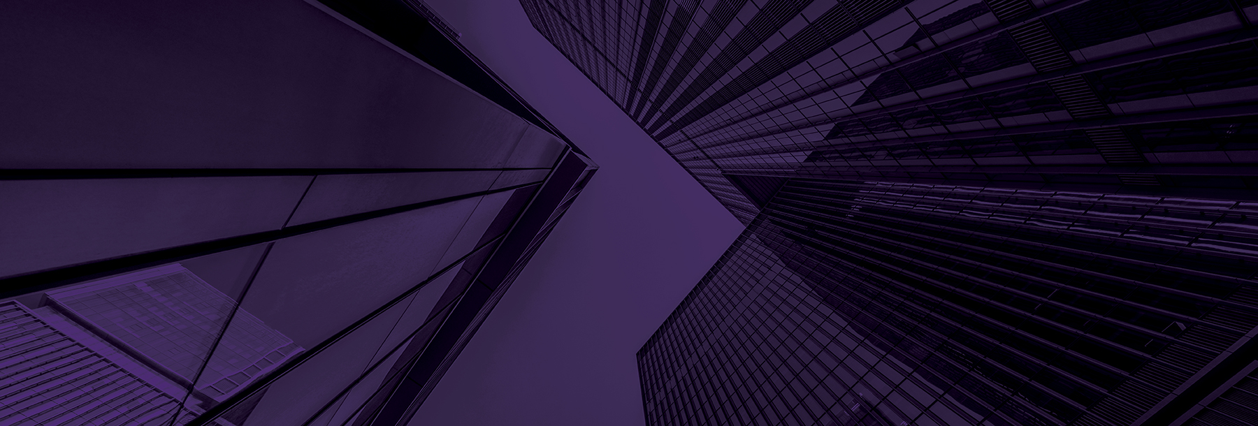 Section Image: Buildings in purple 