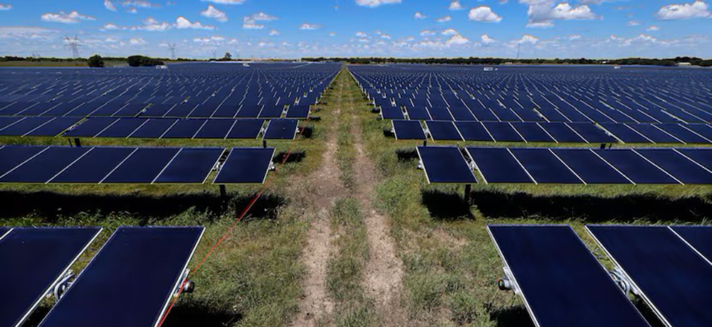 Section Image: Orsted’s Mockingbird Solar Center solar panels 