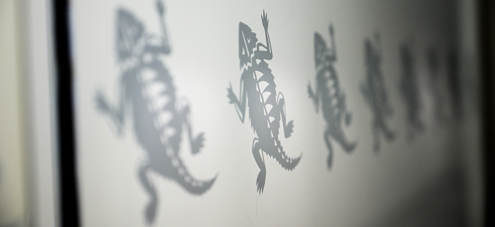 Row of Horned Frogs