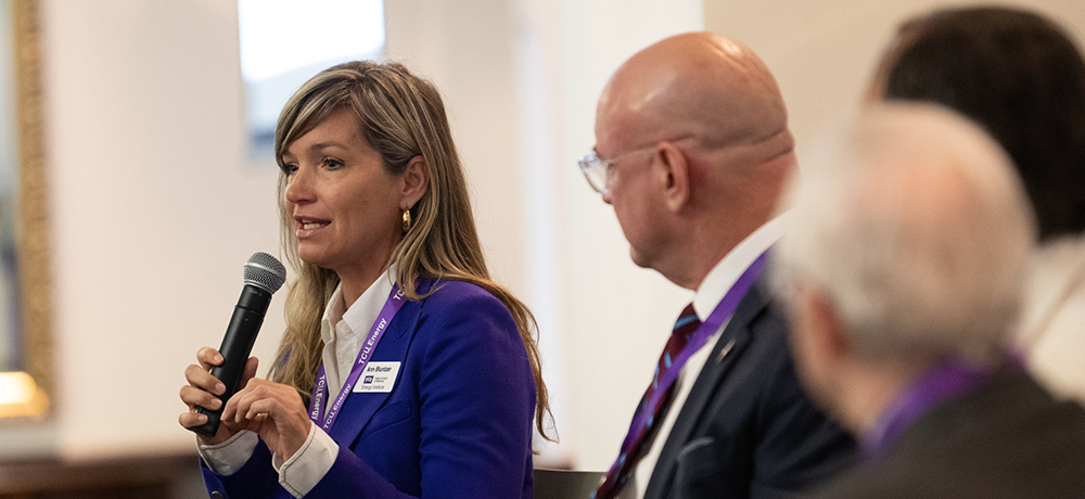 Ann Blunzter on the Energy Panel