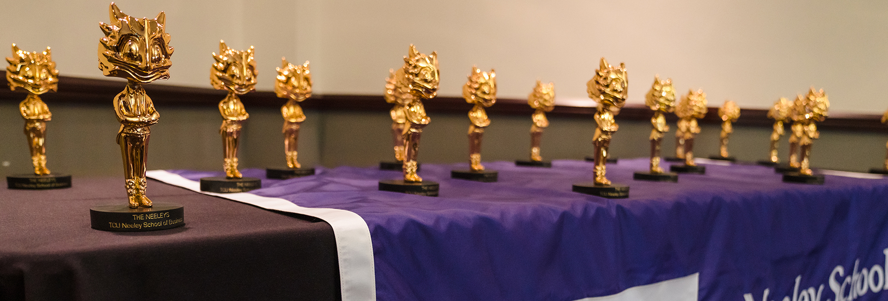 Section Image: Neeley awards on display table 