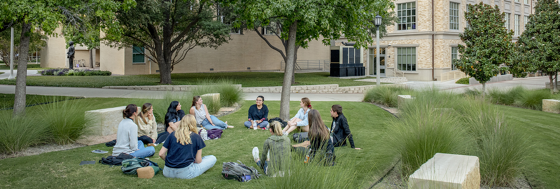 Section Image: Class meeting outside in the long grass. 
