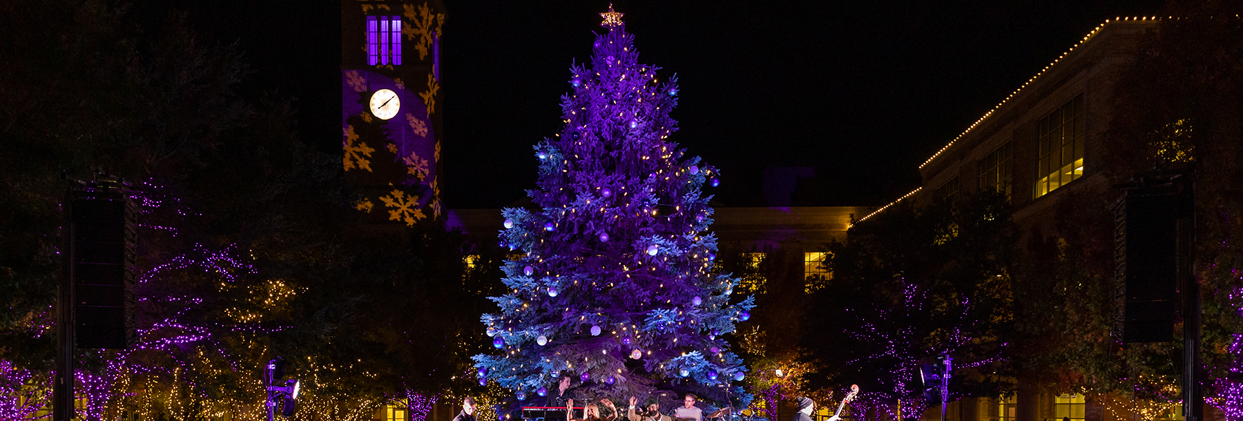 Section Image: Christmas tree in the TCU courtyard lit up at night 