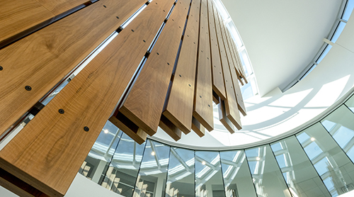Section Image: Rotund Staircase looking up 