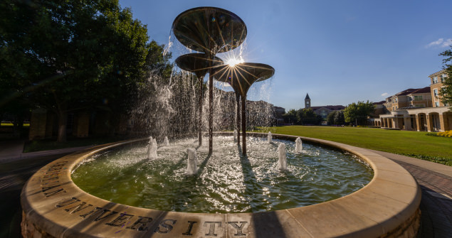 Frog Fountain with sun rays peeking through the flutes